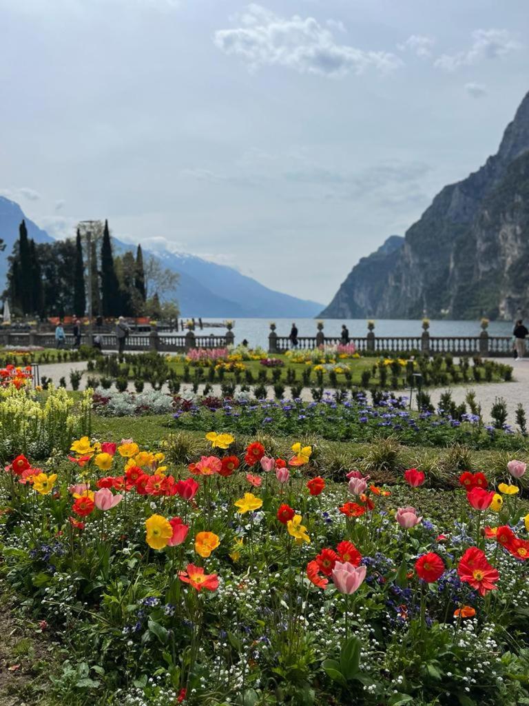 Absentia 1763 Garda Boutique Home - Lake Front Brenzone sul Garda Exterior photo